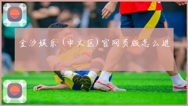 金沙娱乐 (中文区)官网页版怎么进